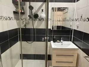 Prodej bytu 4+1, Orlová, Lesní, 78 m2