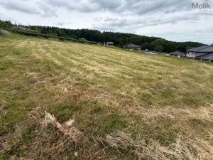 Prodej pozemku pro bydlení, Málkov - Zelená, 1009 m2