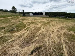 Prodej pozemku pro bydlení, Málkov - Zelená, 1010 m2