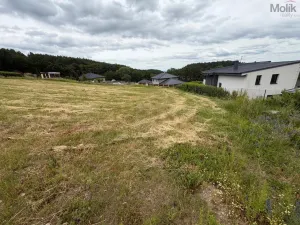 Prodej pozemku pro bydlení, Málkov - Zelená, 1010 m2