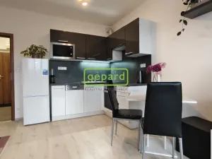 Pronájem bytu 1+kk, Brno - Žebětín, Lišejníková, 31 m2