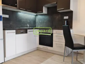 Pronájem bytu 1+kk, Brno - Žebětín, Lišejníková, 31 m2