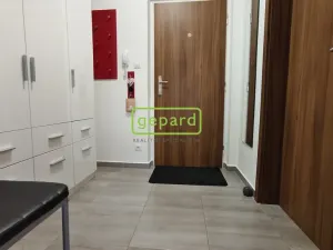 Pronájem bytu 1+kk, Brno - Žebětín, Lišejníková, 31 m2