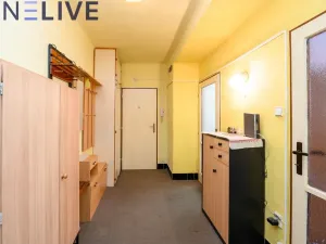 Prodej bytu 2+1, Plzeň, Čechova, 73 m2