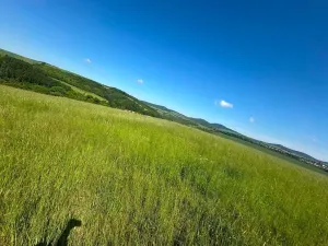 Prodej podílu louky, Buchlovice, 8138 m2