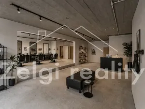 Pronájem obchodního prostoru, Velké Pavlovice, Náměstí 9. května, 144 m2