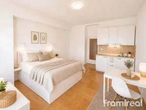 Pronájem bytu 1+kk, Brno, Dřevařská, 30 m2