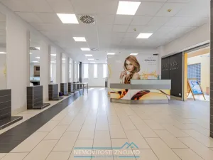Pronájem obchodního prostoru, Chvalovice - Hatě, 127 m2