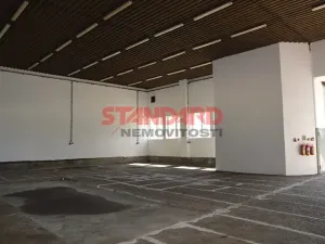 Pronájem výrobních prostor, Neurazy, 273 m2