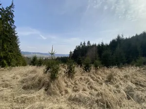 Prodej louky, Městečko Trnávka - Lázy, 1026 m2