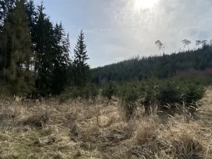Prodej louky, Městečko Trnávka - Lázy, 1026 m2