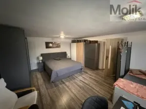 Prodej rodinného domu, Spálené Poříčí - Lipnice, 542 m2