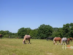 Prodej rodinného domu, Pyšely - Zaječice, Pod Chytárnou, 148 m2