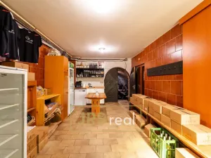 Prodej - jiné, Velké Pavlovice, 155 m2