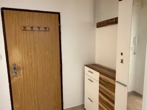 Pronájem bytu 1+1, Hodonín, Slunečná, 32 m2