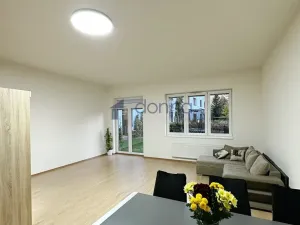 Pronájem bytu 1+kk, Praha, Březenská, 66 m2