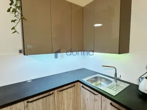 Pronájem bytu 1+kk, Praha, Březenská, 66 m2