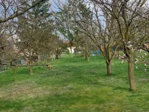 Prodej rodinného domu, Huzová, 75 m2