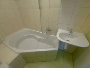 Pronájem bytu 1+1, Plzeň, Sokolovská, 40 m2