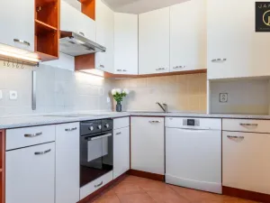 Prodej bytu 2+1, Kladno, Vašíčkova, 54 m2
