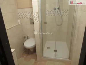 Pronájem bytu 1+kk, Zbuzany, V Zahradě, 22 m2