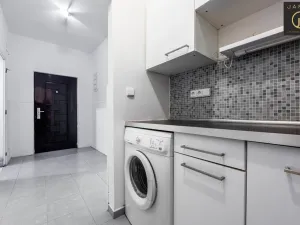 Prodej bytu 1+kk, Praha - Vinohrady, Rejskova, 37 m2