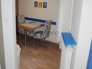 Pronájem bytu 1+1, Praha, Polská, 45 m2