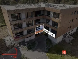 Pronájem bytu 1+kk, Plzeň - Východní Předměstí, Kartónová, 36 m2