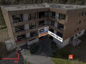 Pronájem bytu 1+kk, Plzeň - Východní Předměstí, Kartónová, 36 m2
