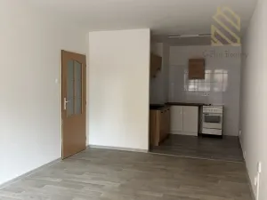 Pronájem bytu 2+1, Bílina - Pražské Předměstí, Fügnerova, 49 m2