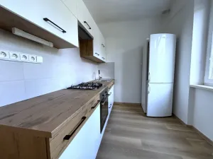 Pronájem bytu 2+1, Plzeň - Východní Předměstí, Rychtaříkova, 53 m2