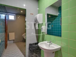 Pronájem komerční nemovitosti, Pardubice, Hronovická, 240 m2