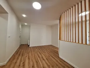 Pronájem bytu 1+1, Praha - Bubeneč, U zeměpisného ústavu, 37 m2