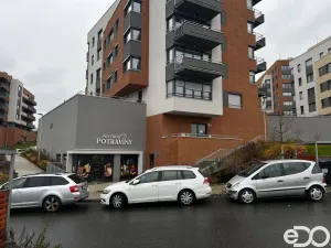 Pronájem bytu 1+kk, Praha, Klapálkova, 31 m2