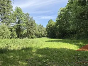 Prodej zahrady, Sušice, 4420 m2