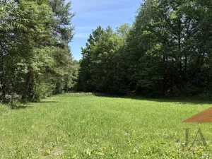 Prodej zahrady, Sušice, 4420 m2