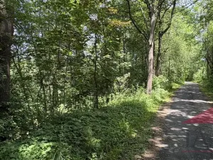 Prodej zahrady, Sušice, 4420 m2
