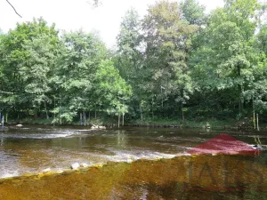 Prodej zahrady, Sušice, 4420 m2