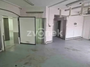 Pronájem výrobních prostor, Uherské Hradiště, Na Příkopě, 780 m2