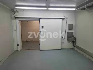 Pronájem výrobních prostor, Uherské Hradiště, Na Příkopě, 780 m2