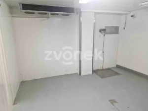 Pronájem výrobních prostor, Uherské Hradiště, Na Příkopě, 780 m2
