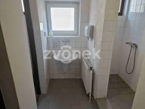 Pronájem výrobních prostor, Uherské Hradiště, Na Příkopě, 780 m2