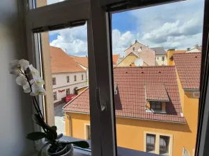 Prodej bytu 2+kk, Stříbro, Žižkova, 45 m2