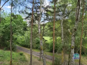 Prodej chaty, Svojšín, 59 m2