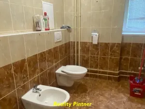 Pronájem bytu 2+1, Příbram, 28. října, 56 m2