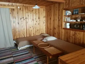 Prodej chalupy, Kounov - Nedvězí, 267 m2