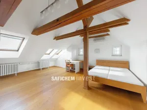 Prodej bytu 5+kk, Praha - Vinohrady, Moravská, 237 m2