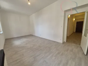 Pronájem bytu 2+kk, Plzeň - Vnitřní Město, Veleslavínova, 50 m2