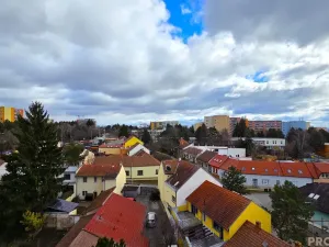 Pronájem bytu 1+kk, Brno - Bohunice, Havelkova, 31 m2