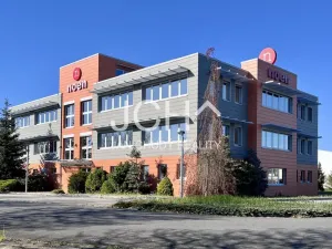 Pronájem obchodního prostoru, Uničov, Litovelská, 92 m2